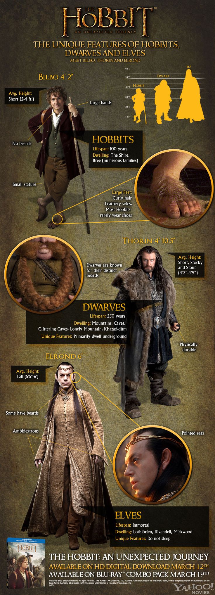 Hobbits Dwarfs and Elves