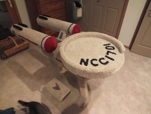 Star Trek Cat Climber